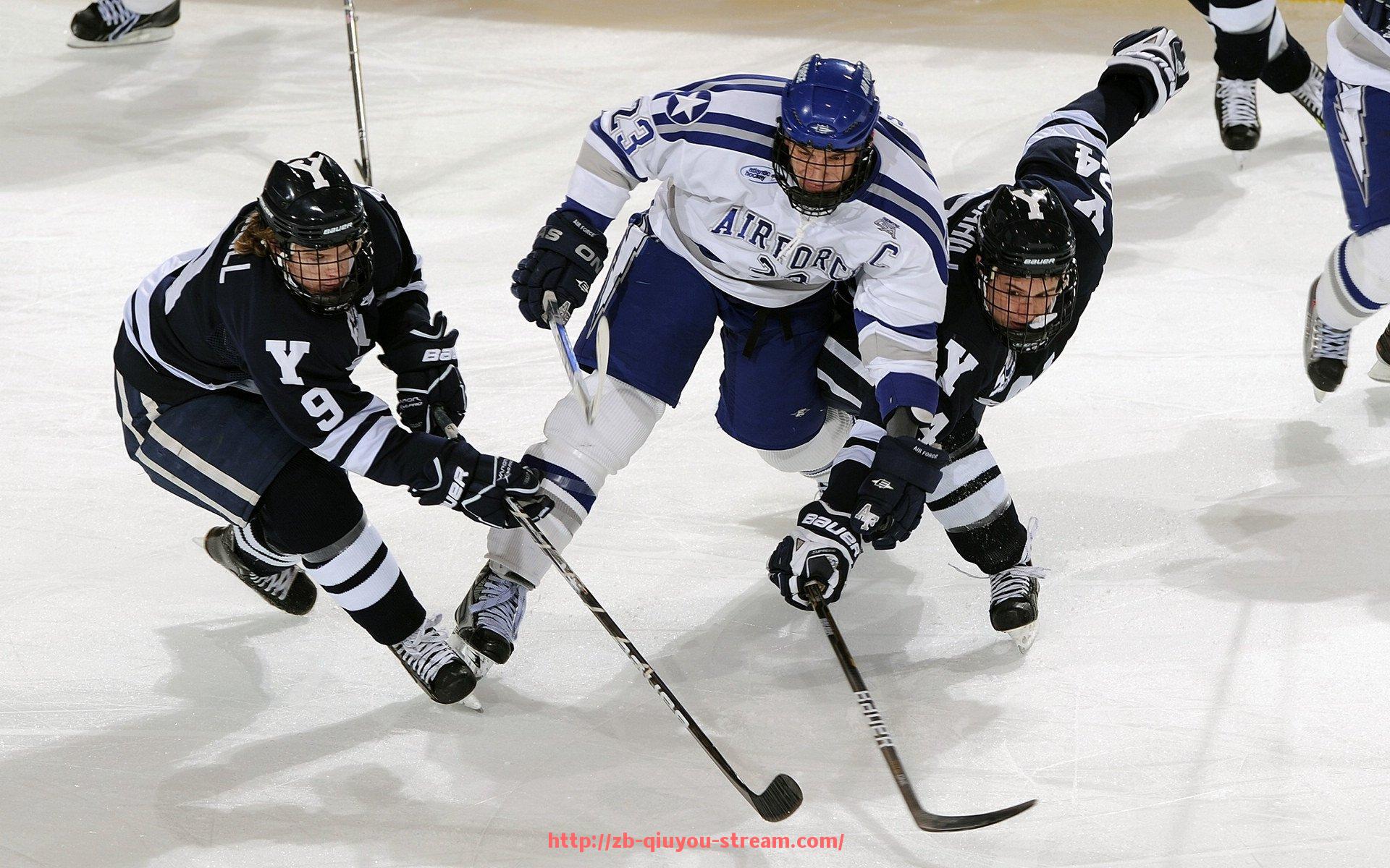 球友体育直播-法甲俱乐部运营结构解析：董事会、经理与主教练权责分配